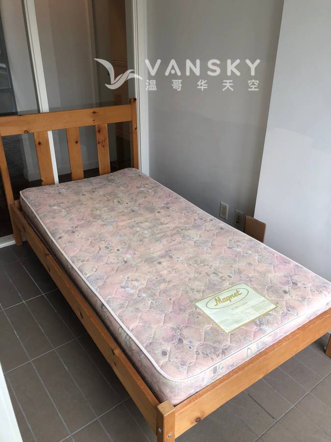 250728092334_Pinewood single bed with mattress.jpg